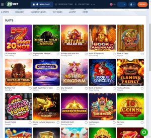 20-bet-casino-slots-variety-review