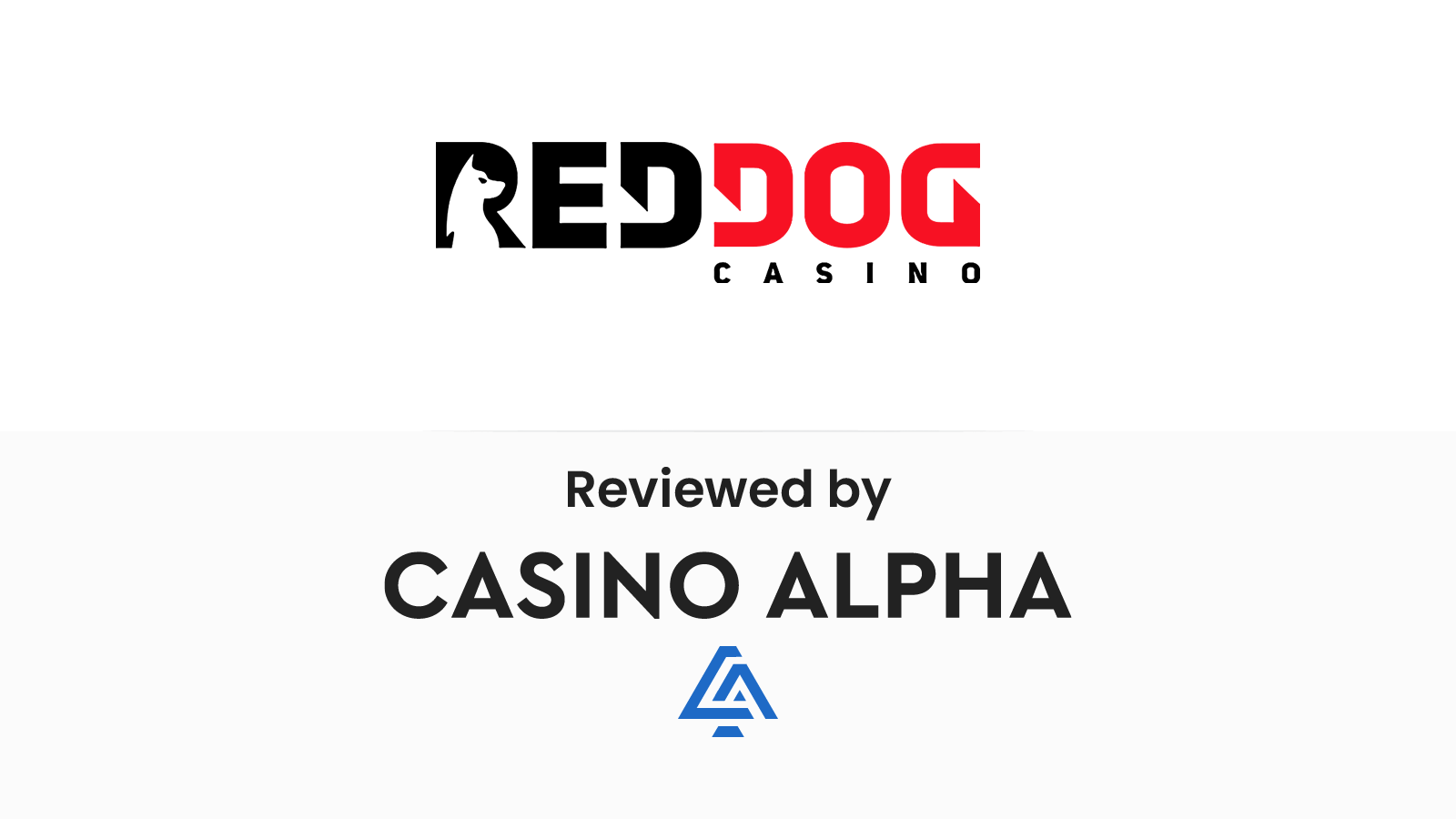 Red Dog Casino Review (2024)