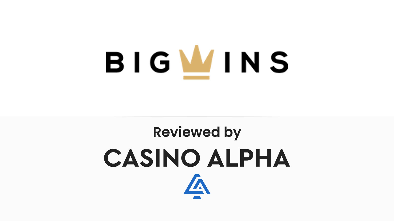 BigWins Casino Review (2024)