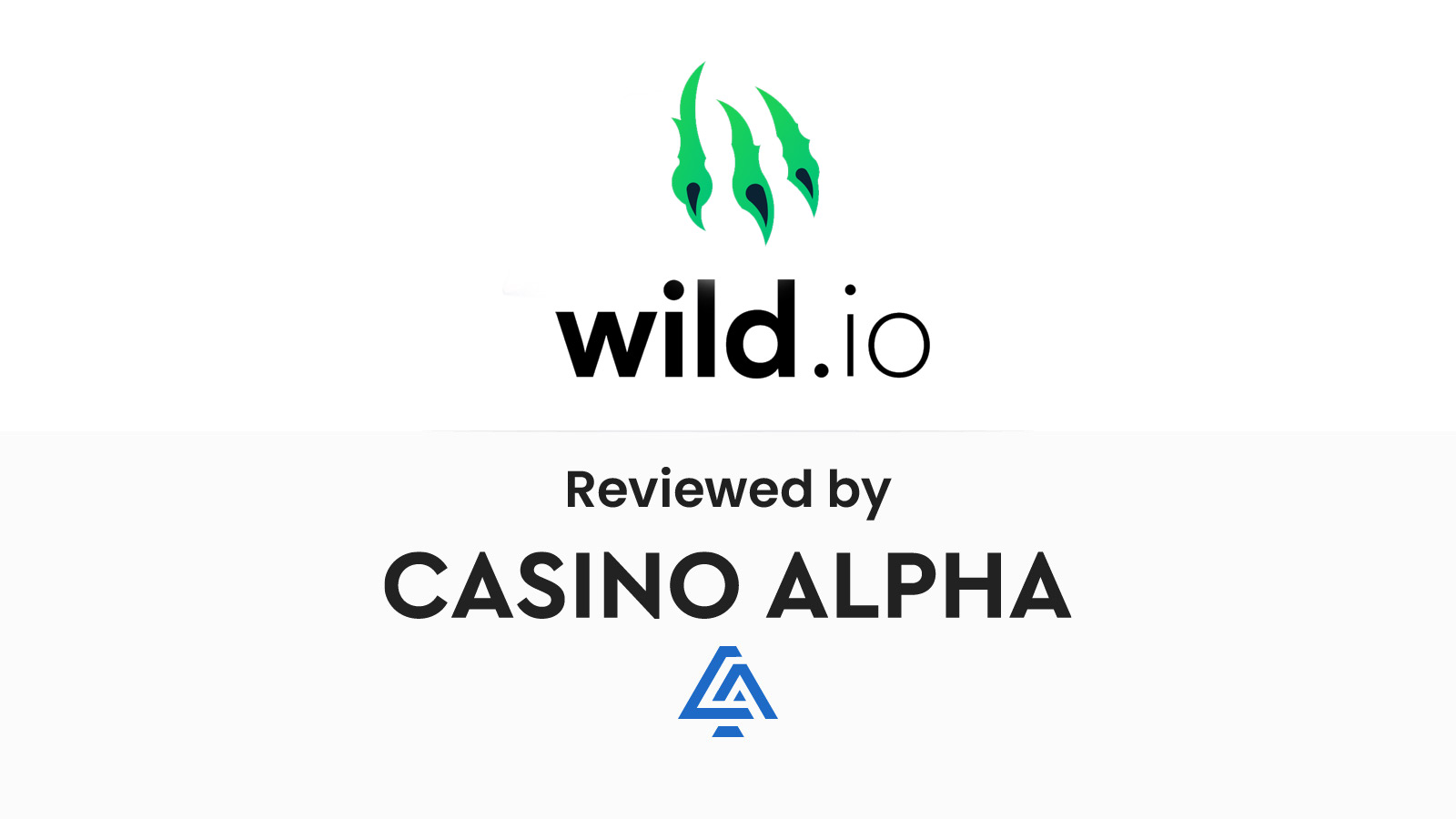 Wild.io Casino Review (2024)