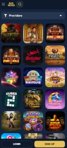 BigWins Casino game types mobile review