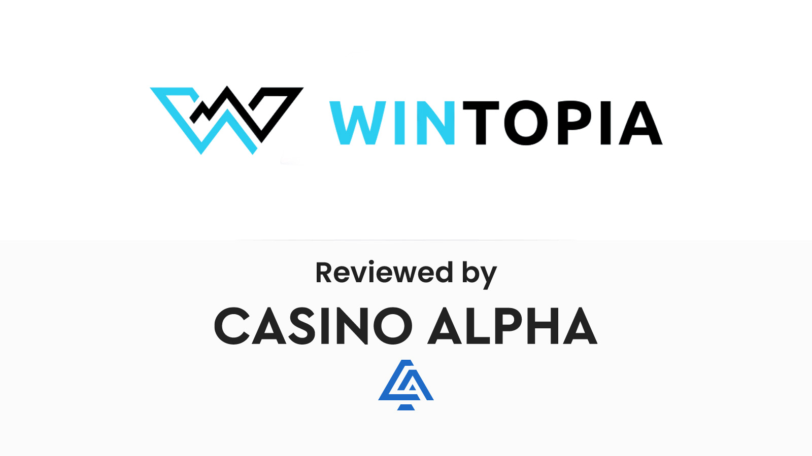 Wintopia Casino Review (2024)