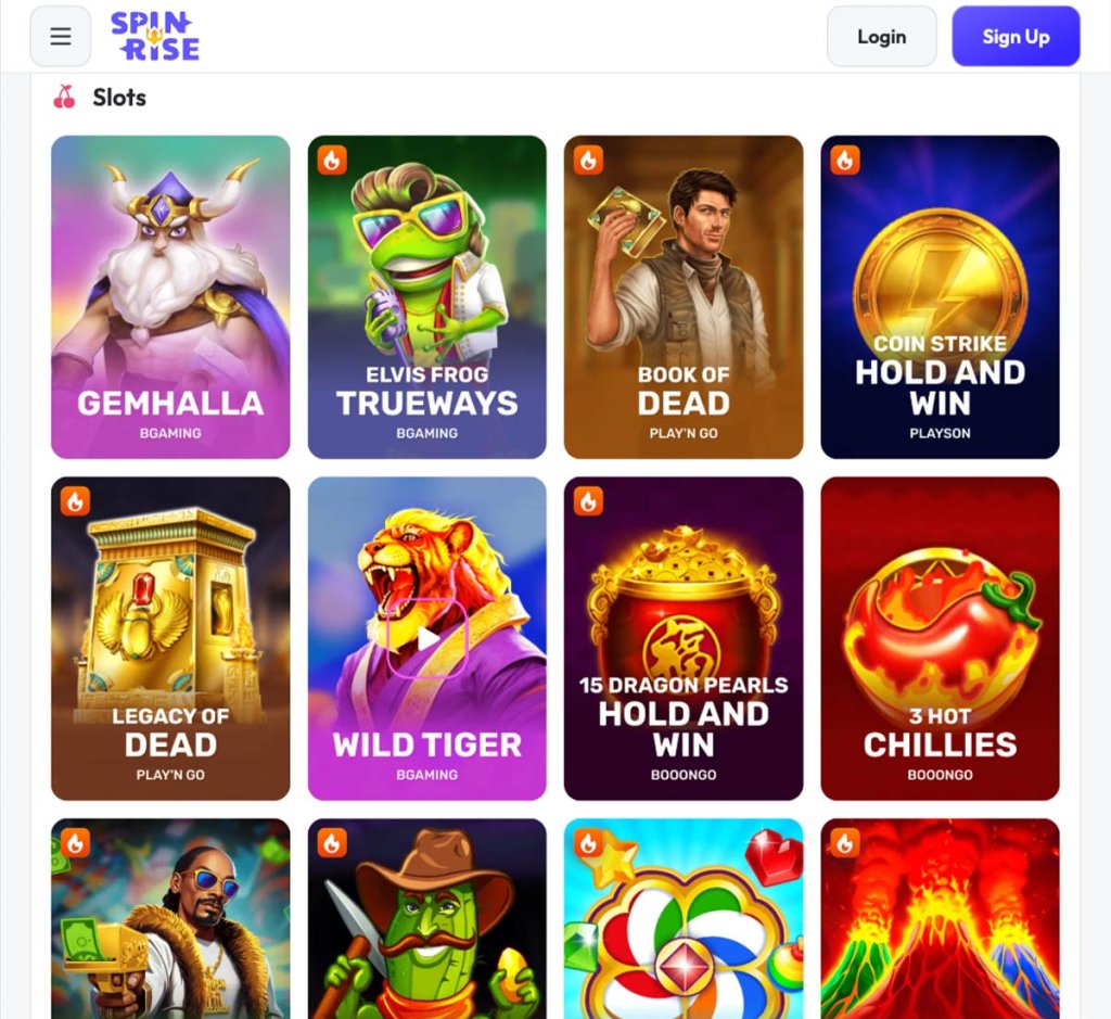 Spinrise-slots-variety-review