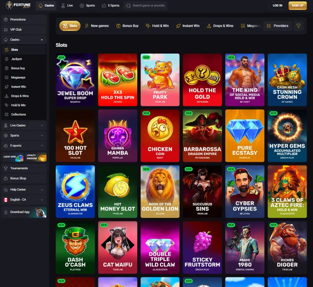 Fortune Play Casino desktop slots variety screenshot showing multiple slot categories, featured games and provider filters - tested