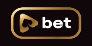 Playbet.io Casino Logo Logo