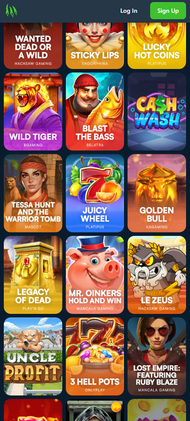 Wild.io-カジノ-スロット-モバイル-レビュー