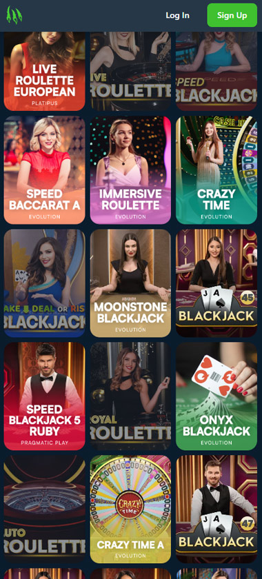 Wild.io-カジノ-ライブ-カジノ-ゲーム-モバイル-レビュー