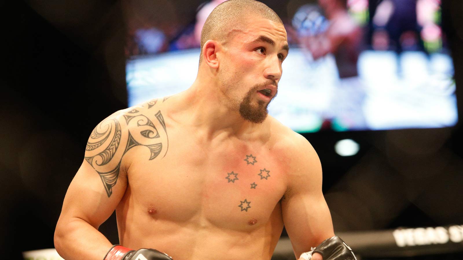 Robert Whittaker