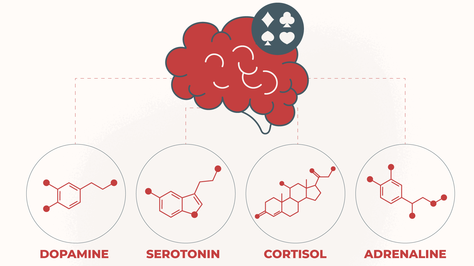 Brain hormones when gambling