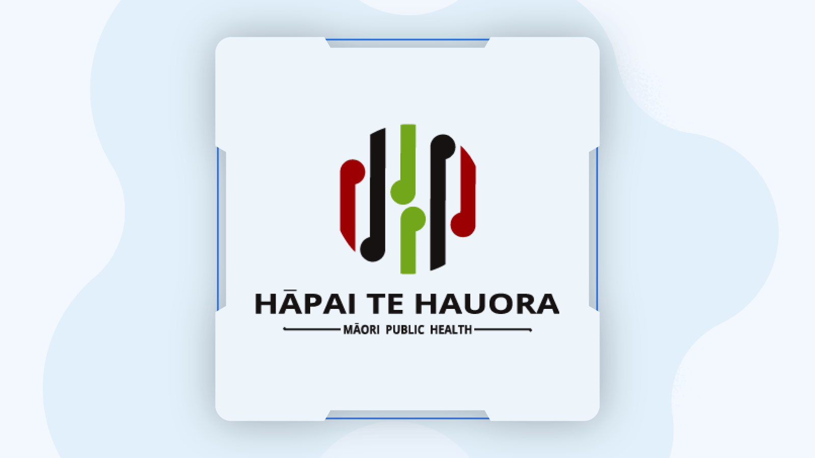 Hapai Te Hauora – Maori Public Health