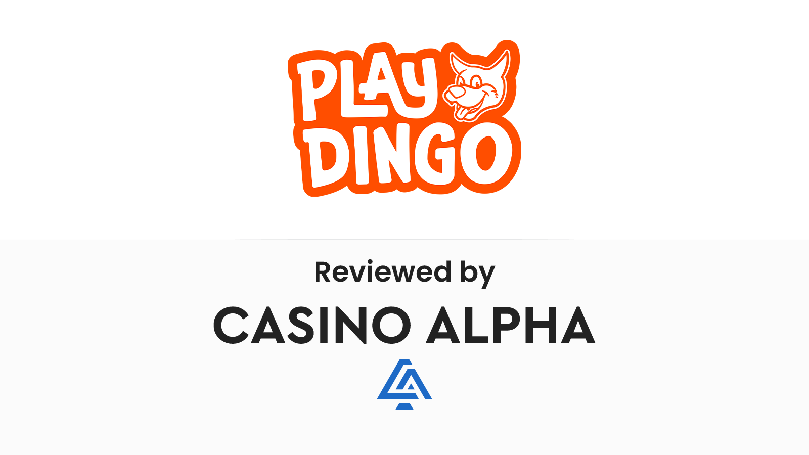 Playdingo Casino Review 2024