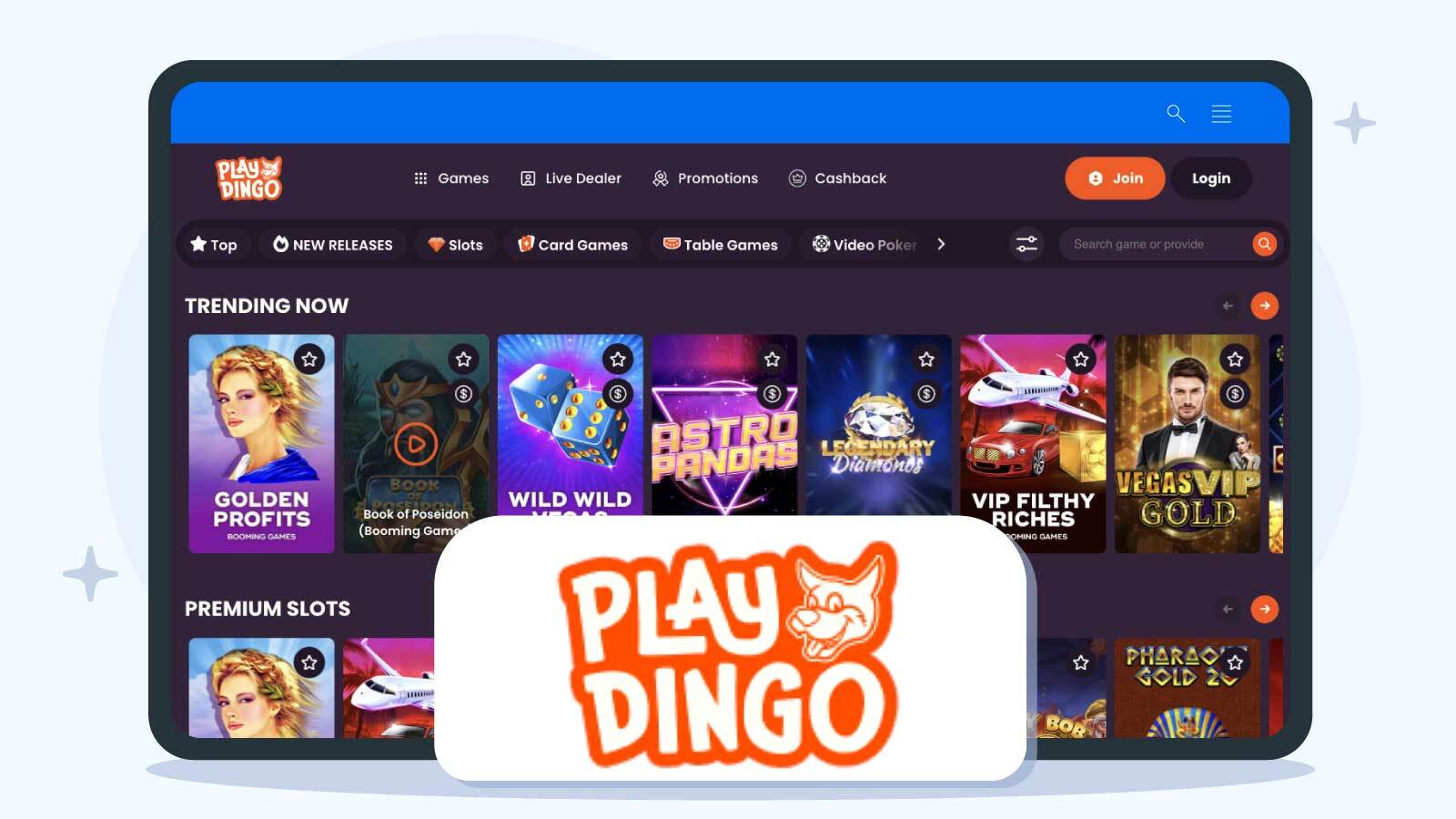 Example 3: PlayDingo Casino