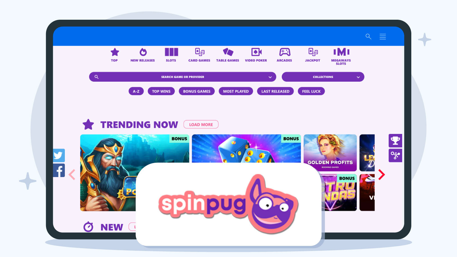 Example 8: SpinPug Casino