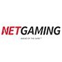 NetGaming logo