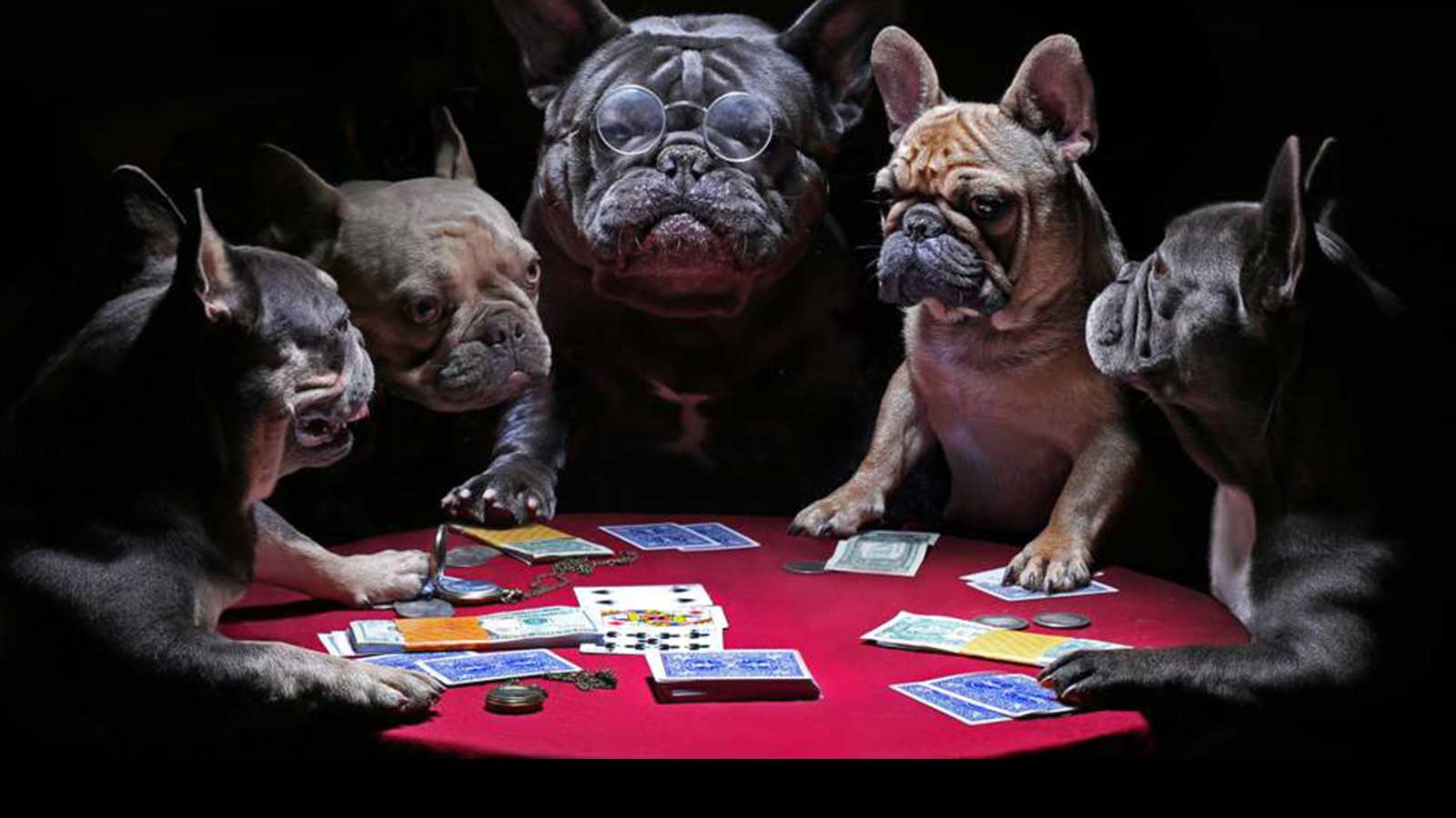 Classic Funny Gambling Photos We Had to Include