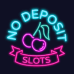 NDSlots Casino logo