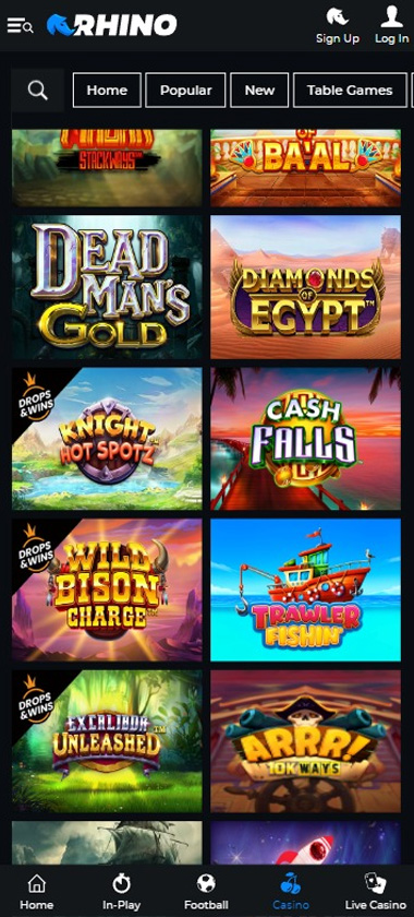 rhino-bet-Casino-preview-mobile-slots-game