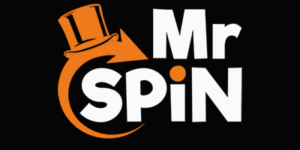 Mr Spin Logo
