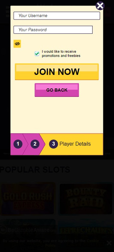 welcome-slots-casino-registration-process-step-3