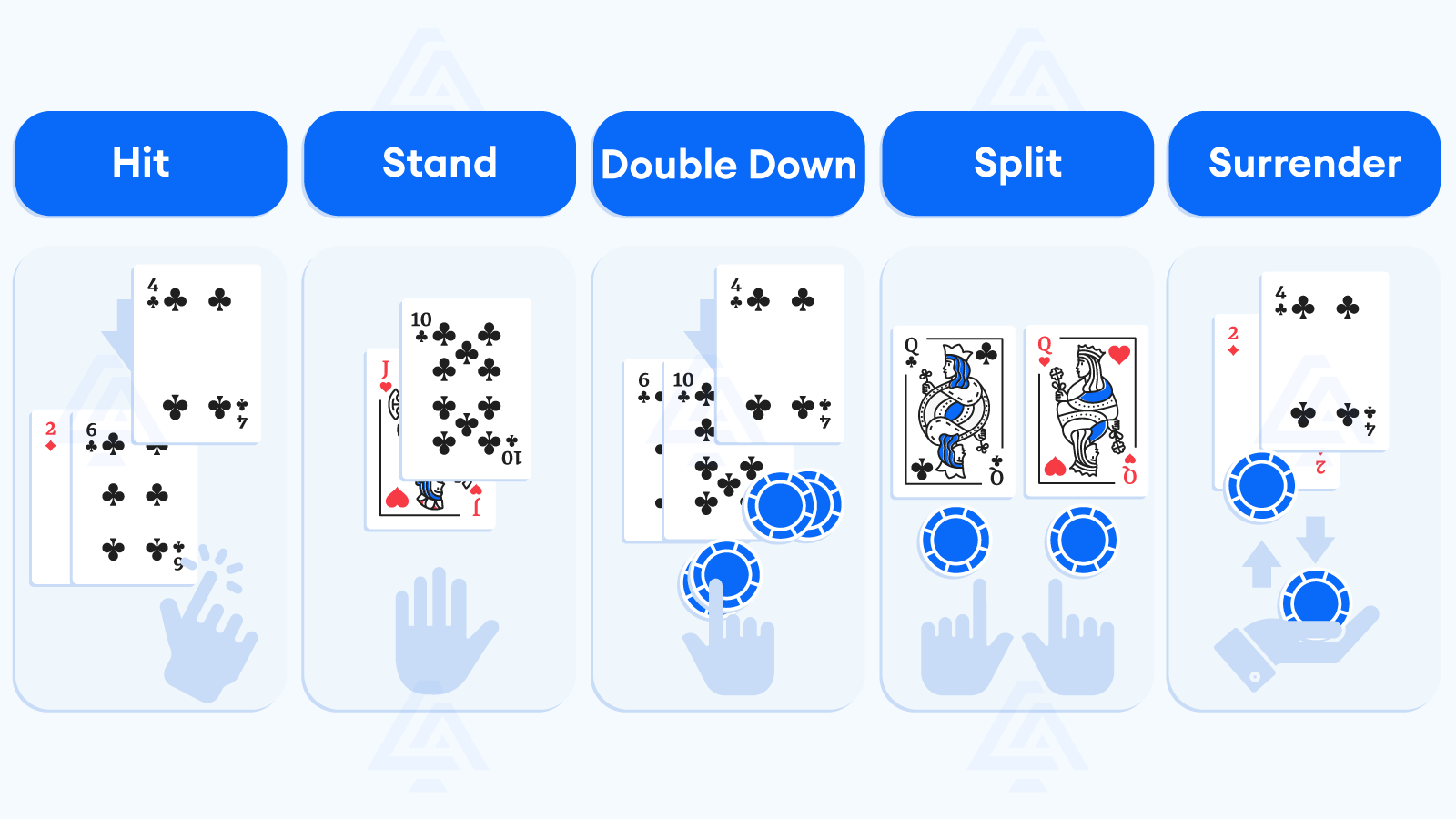 Hit, stand or double down unleashing the power of a Blackjack player's options