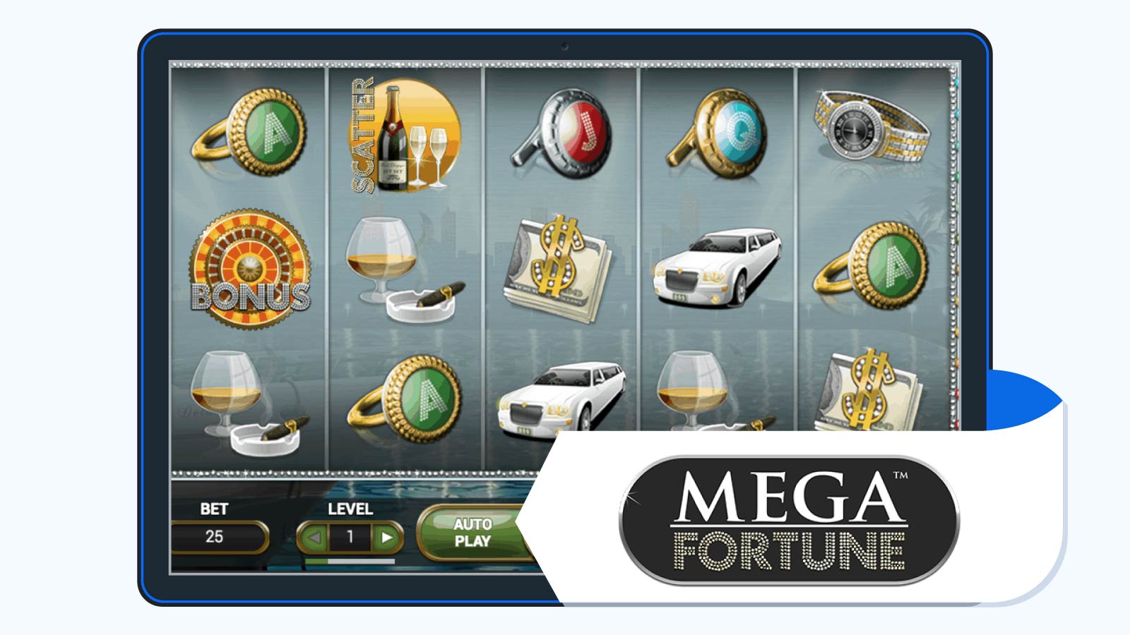 Mega Fortune Online Casino Slot Game