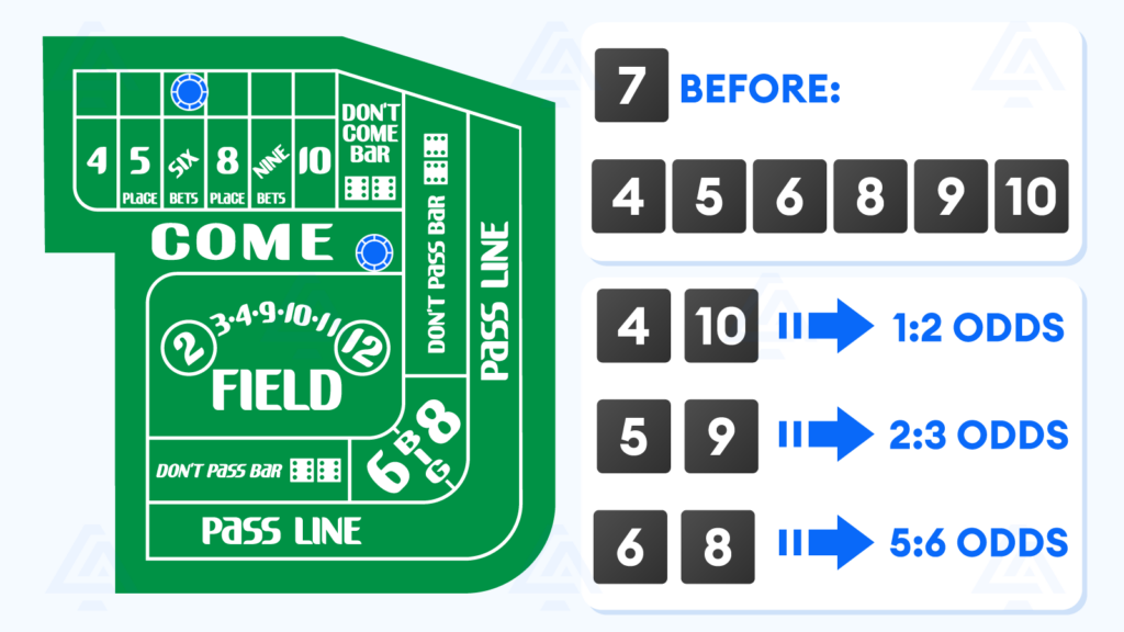 Learn How Craps Strategies Change Your Odds