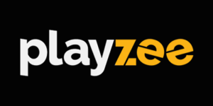 Playzee Casino Logo